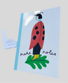 Notebook/Sketchbook (A5) - Ladybird Woman