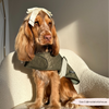 Luxe Quilted Dog Coat - Country Khaki - S