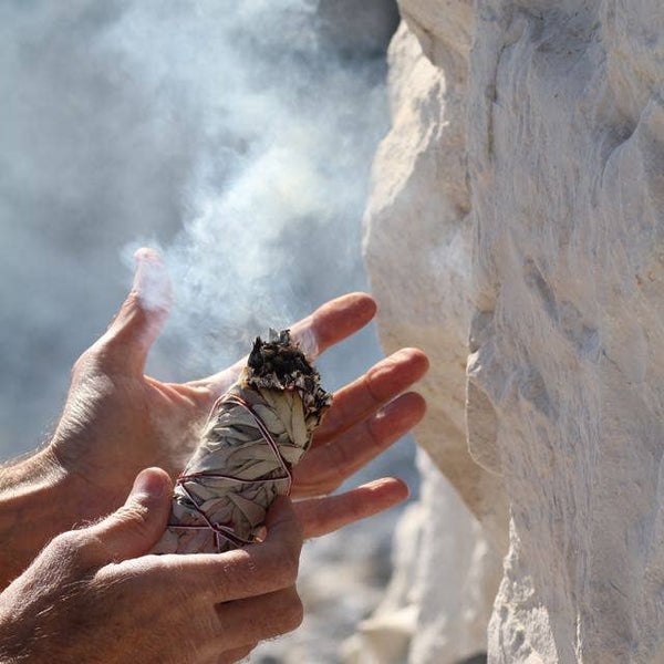 Californian White Sage Smudge Stick