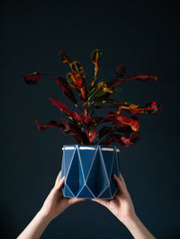 15cm Self-Watering Pot - Navy