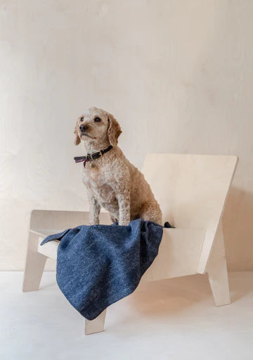 Recycled Wool Small Pet Blanket - Navy Herringbone