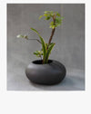 Handmade Ikebana Vase - Brown