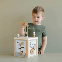 Activity Cube - Little Goose