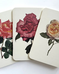 Canonbury Press - Garden Roses Notebook Set