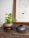 Handmade Ikebana Vase - Brown