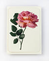 English Garden Roses Notecards - Set of 6