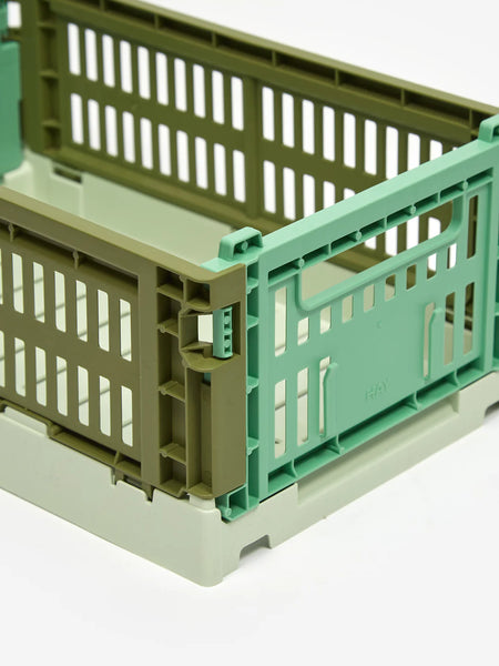 Colour Crate Mix - Olive/Dark Mint - Small