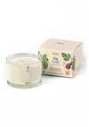 Fig Leaf Triple Wick Candle