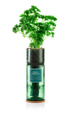 Curly Parsley Kit