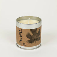 Fig Tree Scented Tin Candle