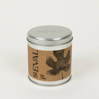 Fig Tree Scented Tin Candle