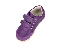 IW Champ - Murasaki Purple + Chalk