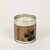 Wild Gorse Scented Tin Candle