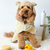 Teddy Drying Robe - XS