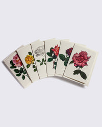 English Garden Roses Notecards - Set of 6