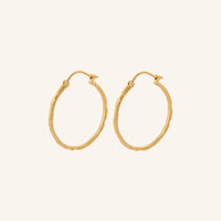 Ice Creoles Hoops - Gold Plated