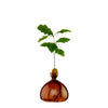 Acorn Vase - Russet Brown