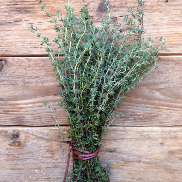 Piccolo- Thyme de Provence 350 seeds (Thymus Vulgaris)