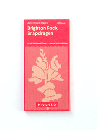 Piccolo- Brighton Rock Dragon 1500 seeds (Antirrhinum Majus)