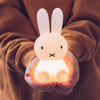 Bundle of Light - Miffy