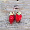 Piccolo- Alpine Strawberry Baron Avon Solemacher 250 seeds (Fragaria Vesca)