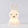 Bundle of Light - Miffy