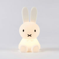 Bundle of Light - Miffy