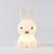 Bundle of Light - Miffy