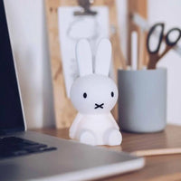 Bundle of Light - Miffy