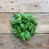 Piccolo- Italiano Classico Basil 120 seeds (Genovese)