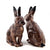 Hare Salt and Pepper