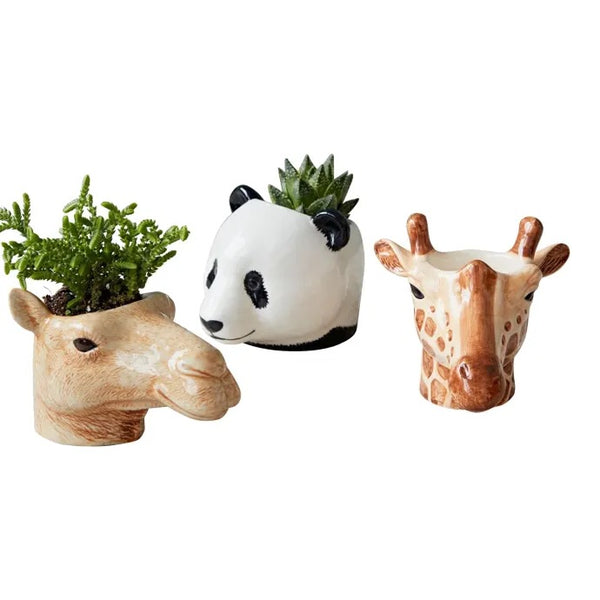 Panda Face Egg Cup