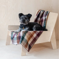 Recycled Wool Small Pet Blanket in Forest Herringbone Check